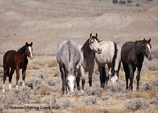 100909lunalookclose 100909lunalookclose