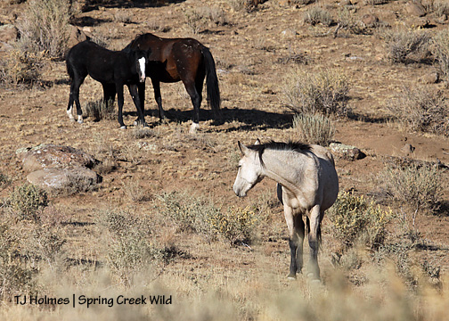 100909rd-kessabmah 100909rd-kessabmah