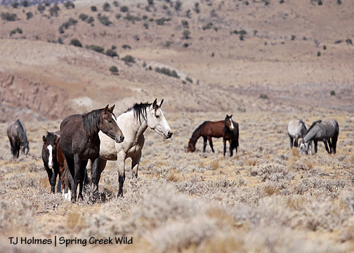 100909sdbandlook 100909sdbandlook