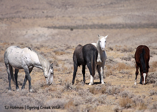 100909stormnursing 100909stormnursing