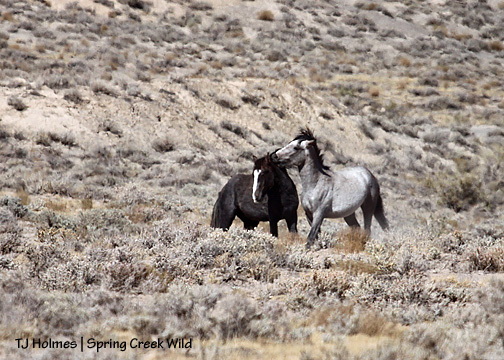 100909stormtwister1 100909stormtwister1