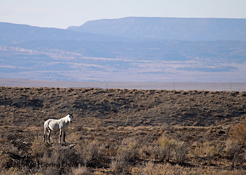 110609sevenpond 110609sevenpond