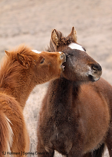 020310cuatrohayden11