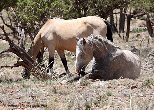 Chrome savors his roll.