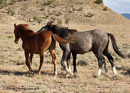 Cuatro, Rio chase Hayden