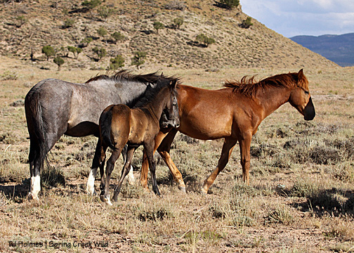 Cuatro, Rio chase Hayden