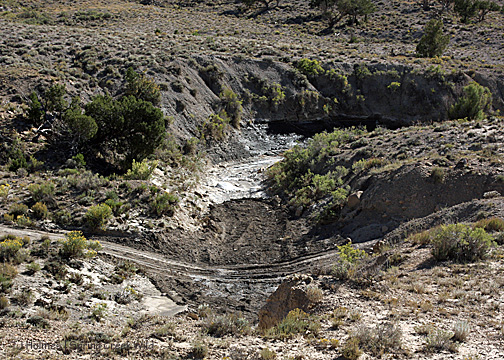 bad arroyo fixed by pond dozer guy
