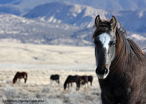 Cuatro ... Hook's band in the background