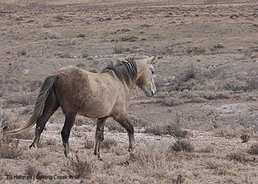 Twister walking down to meet Storm.