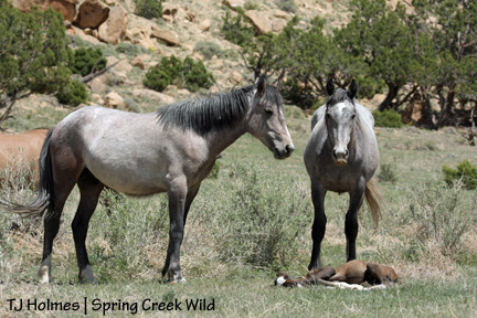 Twister, baby and Two Boots