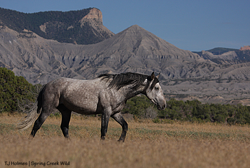 Comanche, McKenna Peak and unnamed promontory