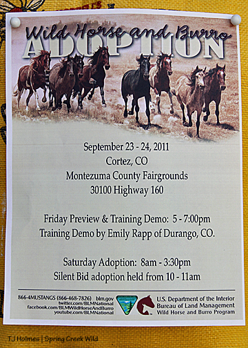 adoption flier