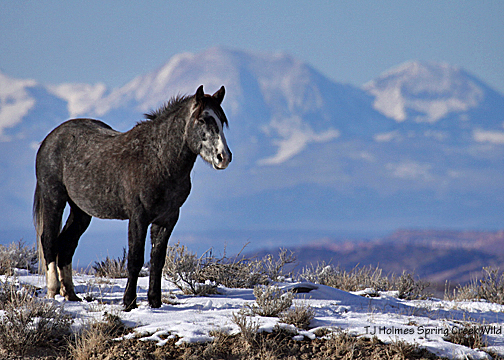 Storm against the La Sal Mountains
