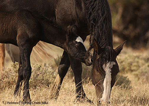 Raven's baby boy gives her a sweet kiss.