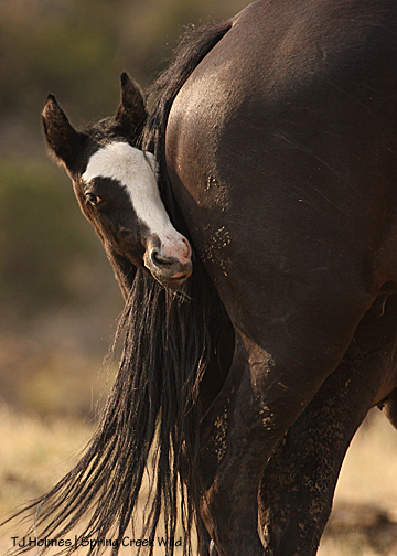 Raven's new baby boy.