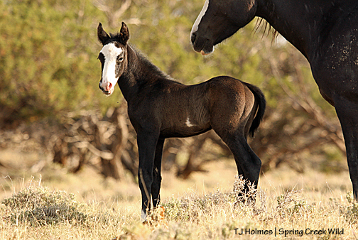 Raven's new baby boy.