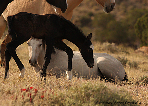 Raven's new baby boy.