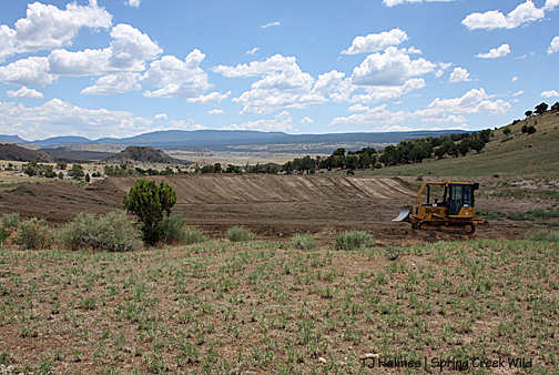 John working on the northwest pond.