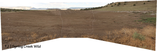 Northwest pond - finished.