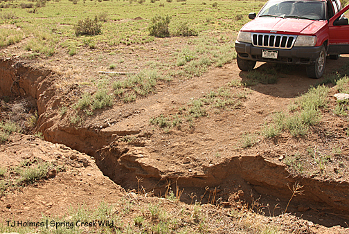Old washout ... washed out!