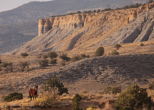 Poco west of the double ponds. Knife Edge in the background.