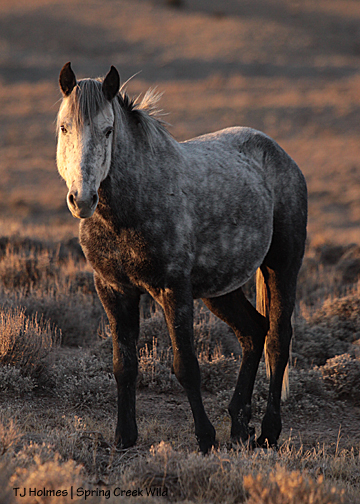 Ty, daddy of Asher and Seneca.
