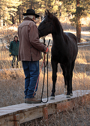 Asher and Vern on the bridge.