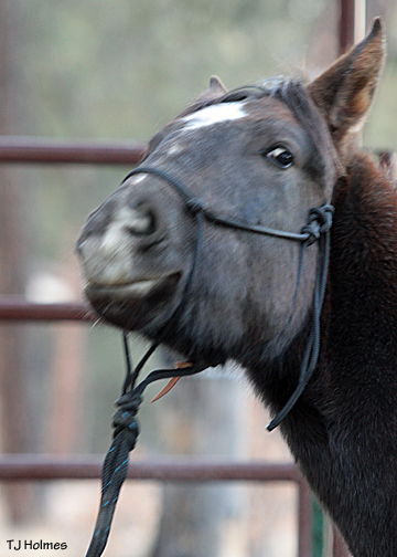 Asher makes a funny face during his workout with Vern.