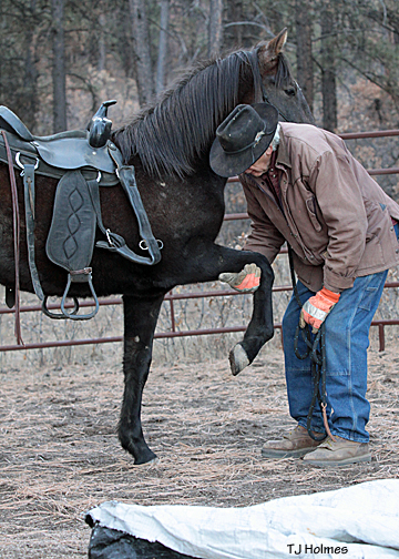 Asher shakes with Vern.