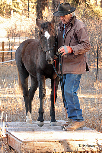 Asher and Vern on the teeter-totter.