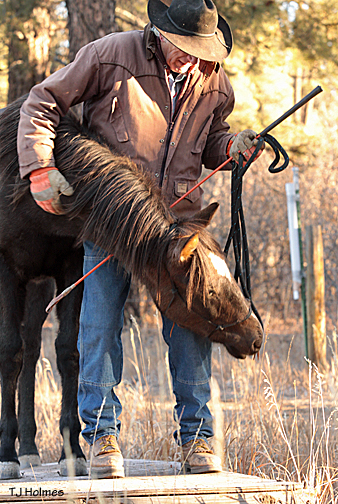 Asher and Vern on the teeter-totter.