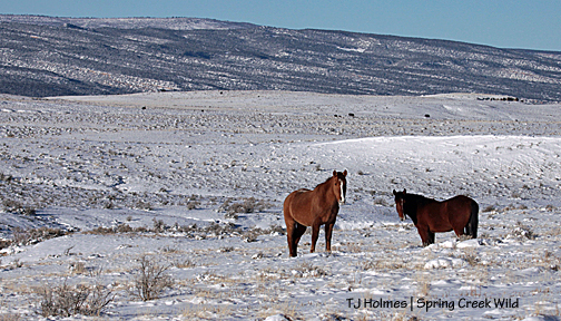 Mona and daughter Shane