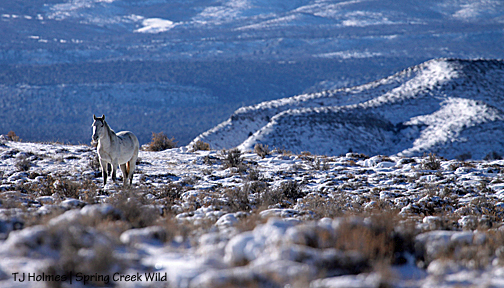 Seven; hill to the back right is the eastern side of Flat Top.
