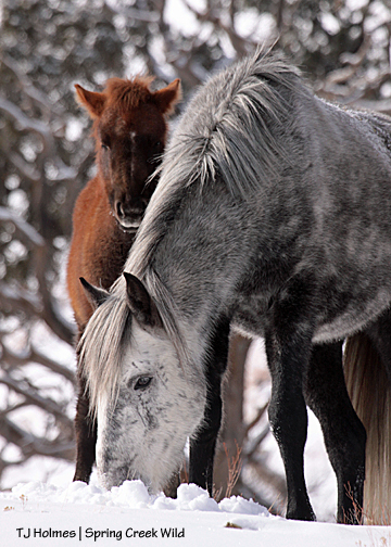 Baby Seneca naps knowing daddy Ty is protecting her.