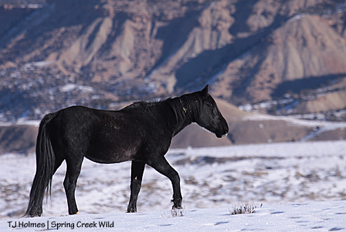 Bounce against the north ridges.