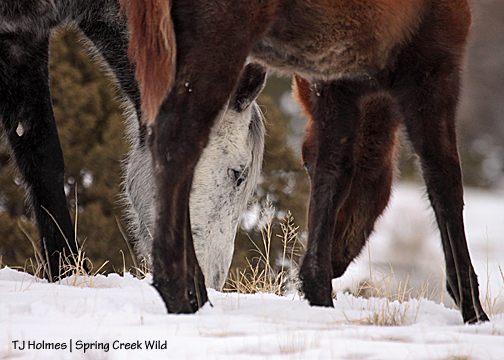 Seneca and daddy Ty.