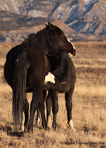 020513skywalkernurse