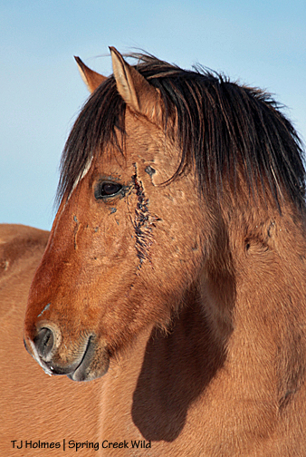 Hollywood sports a new injury.