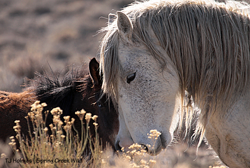 Chrome and son Kwana.