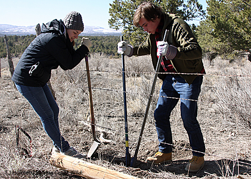 032513sarahmarshaldig