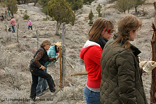 032613emelcormkfence
