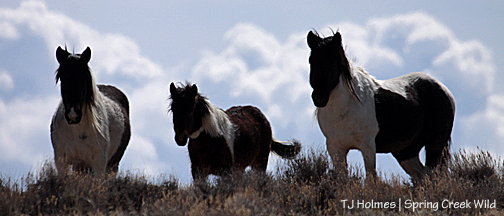 Reya, S'aka and Corazon