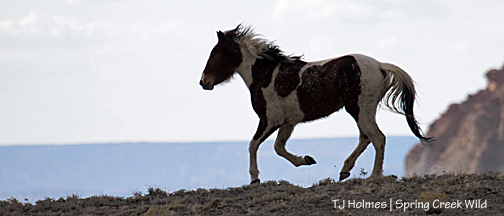 Puzzle running against the sky.