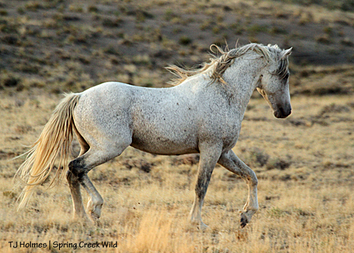 Chrome marches out to meet Hollywood.