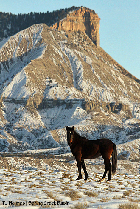 Cassidy Rain and the unnamed promontory.