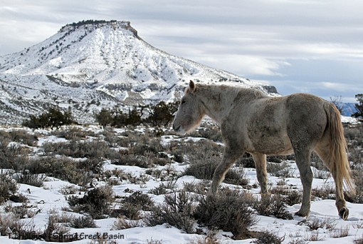 Corona, Brumley Point