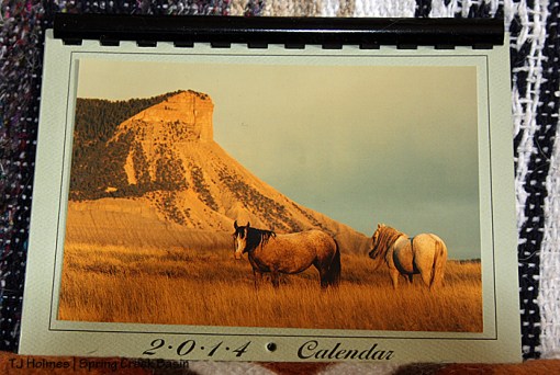 2014 Spring Creek Basin mustangs calendar.