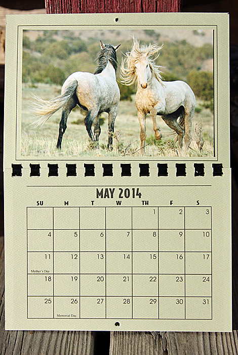 2014 Spring Creek Basin mustangs calendar.