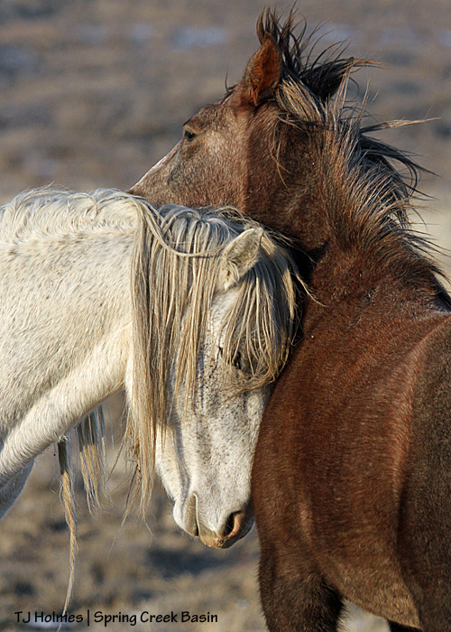 Chrome courts Mariah.