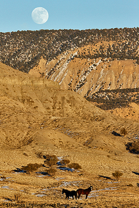 Skywalker and David below the moonrise.